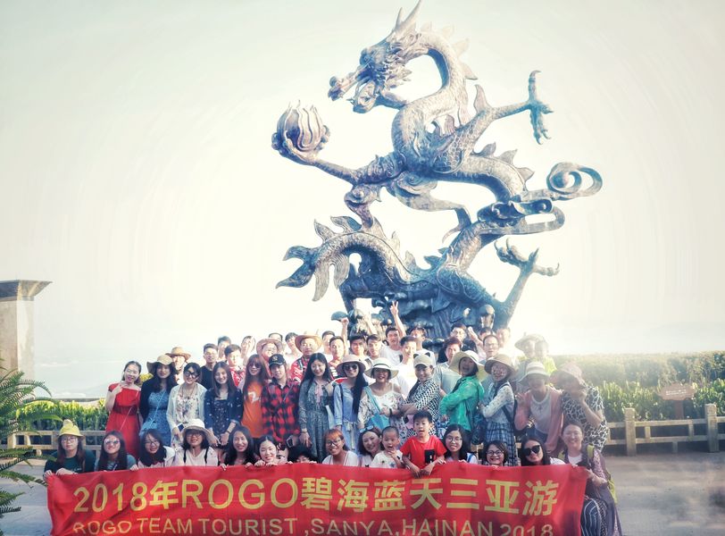 Κίνα Rogo Industrial (Shanghai) Co., Ltd. Εταιρικό Προφίλ